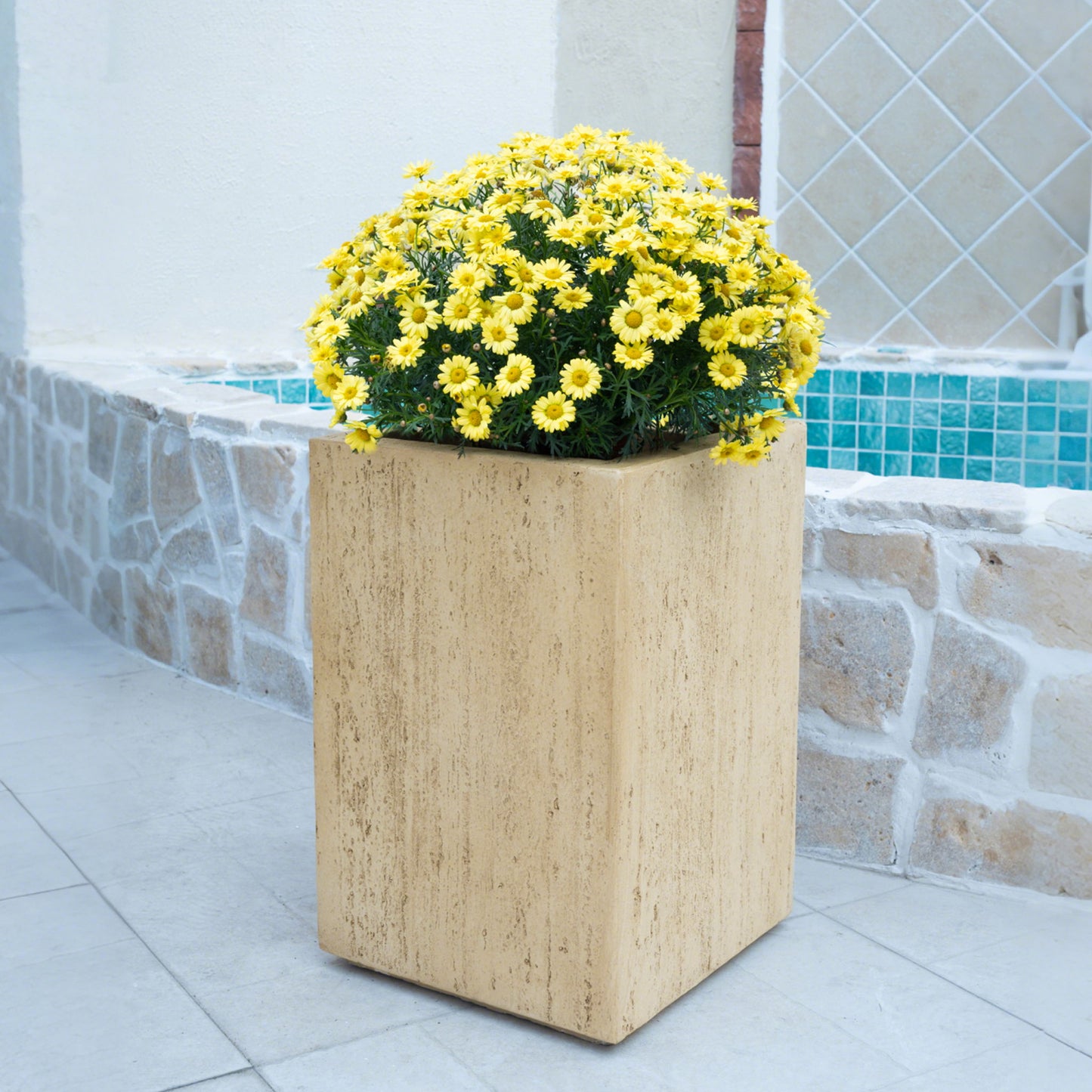 Modern Outdoor Planter