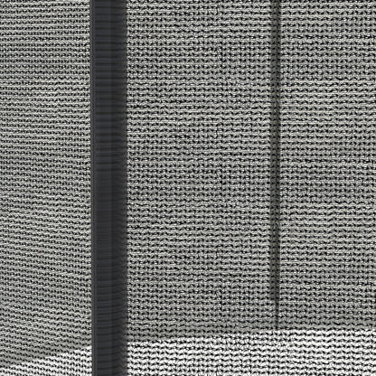 20395131