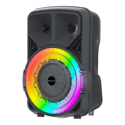 IQ Sound Portable Bluetooth 8" Speaker